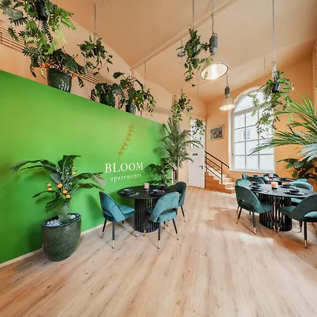 Bloom By Home1-2